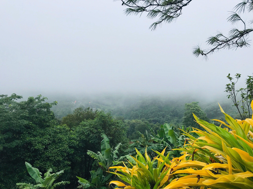 Golden Butterfly Hotel Mogok - Burmese Only主图