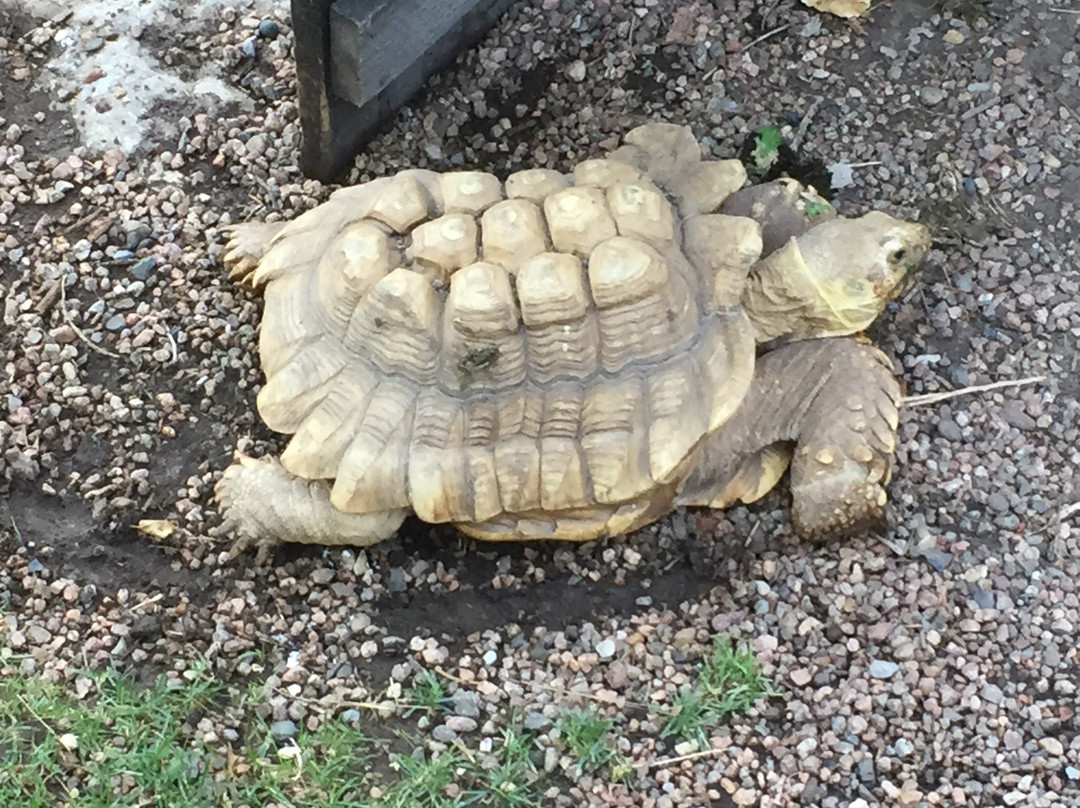 Pueblo Zoo-普韦布洛必去景点
