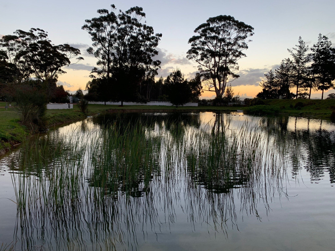 Vine Guesthouse主图