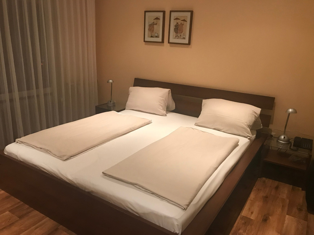Hotel Litjes主图