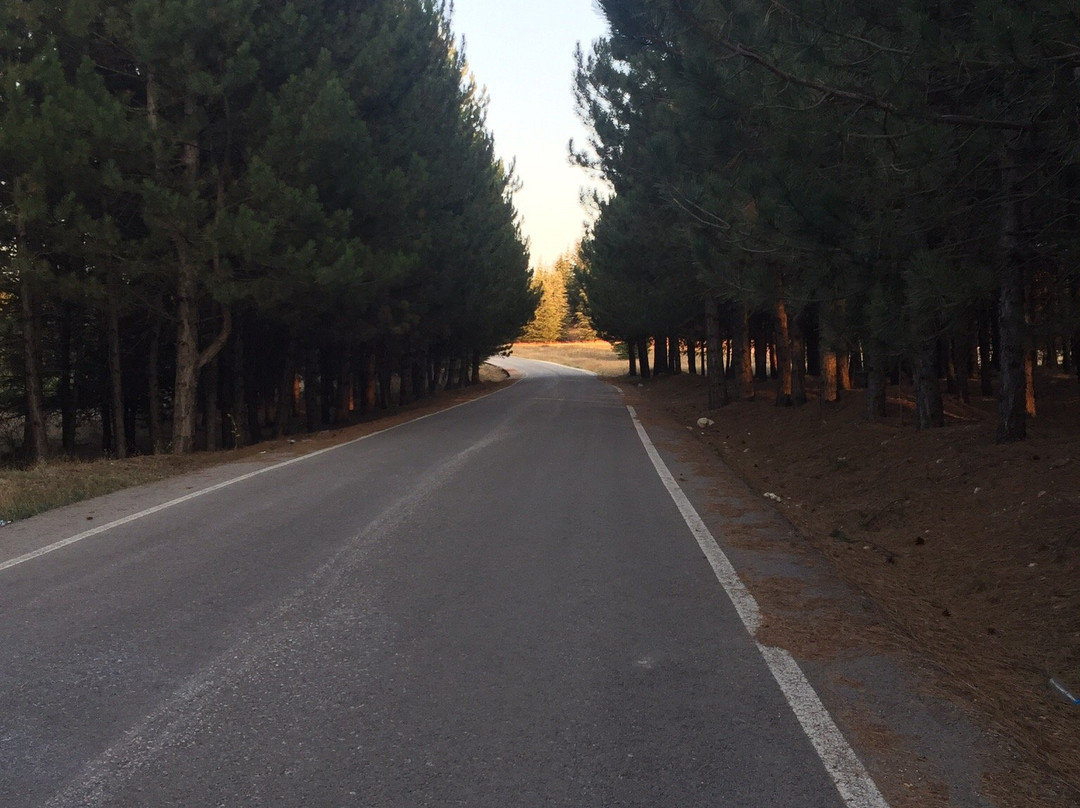 Sehit Sancaktar Mehmetcik Anıtı-Kutahya必去景点