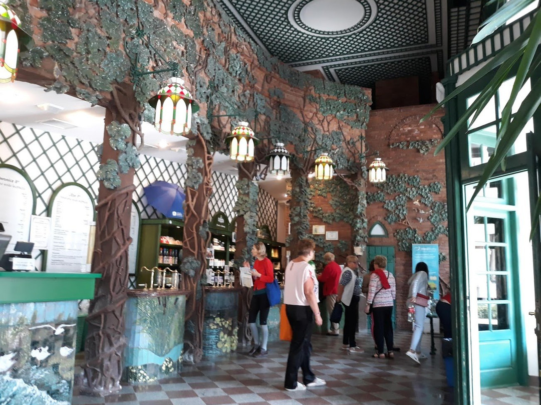Spa resort in Iwonicz-Zdroj景点图片