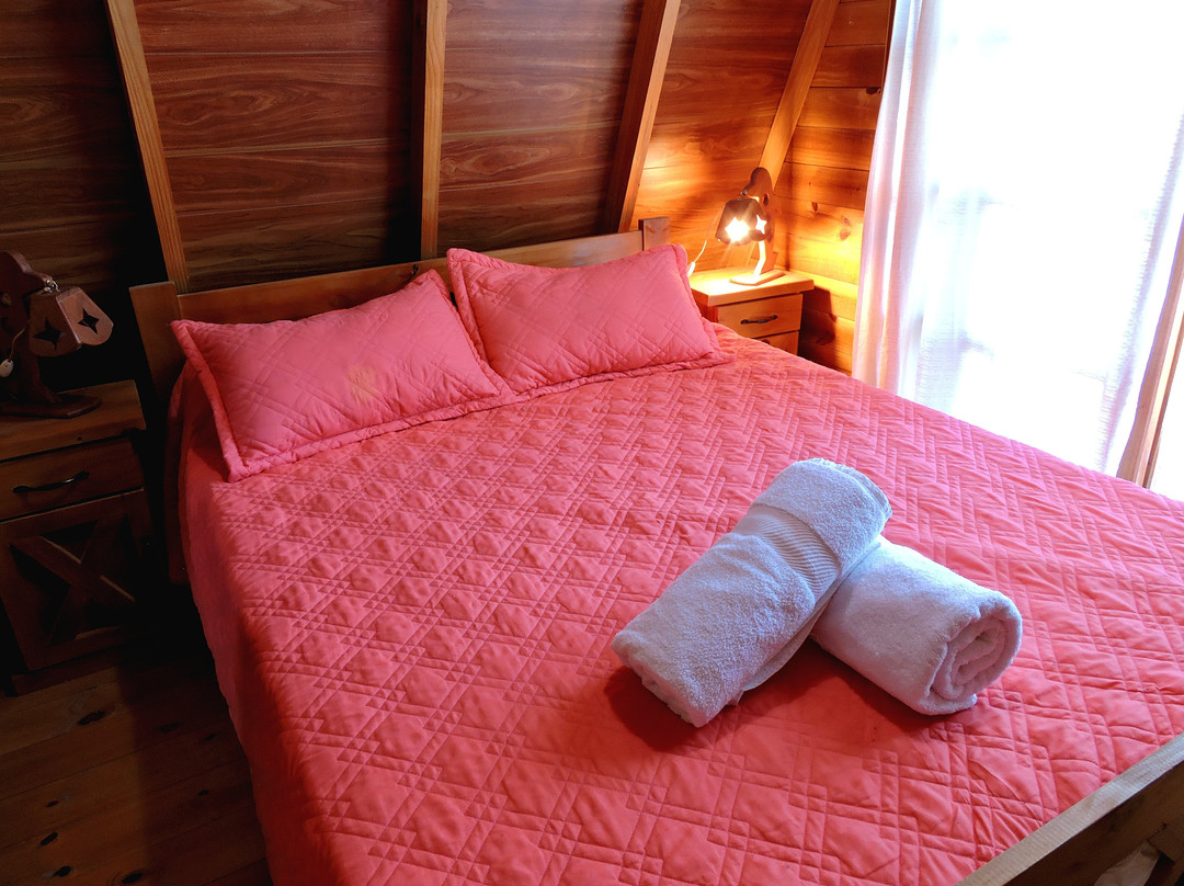 Cabañas La Felicidad en Claromeco主图