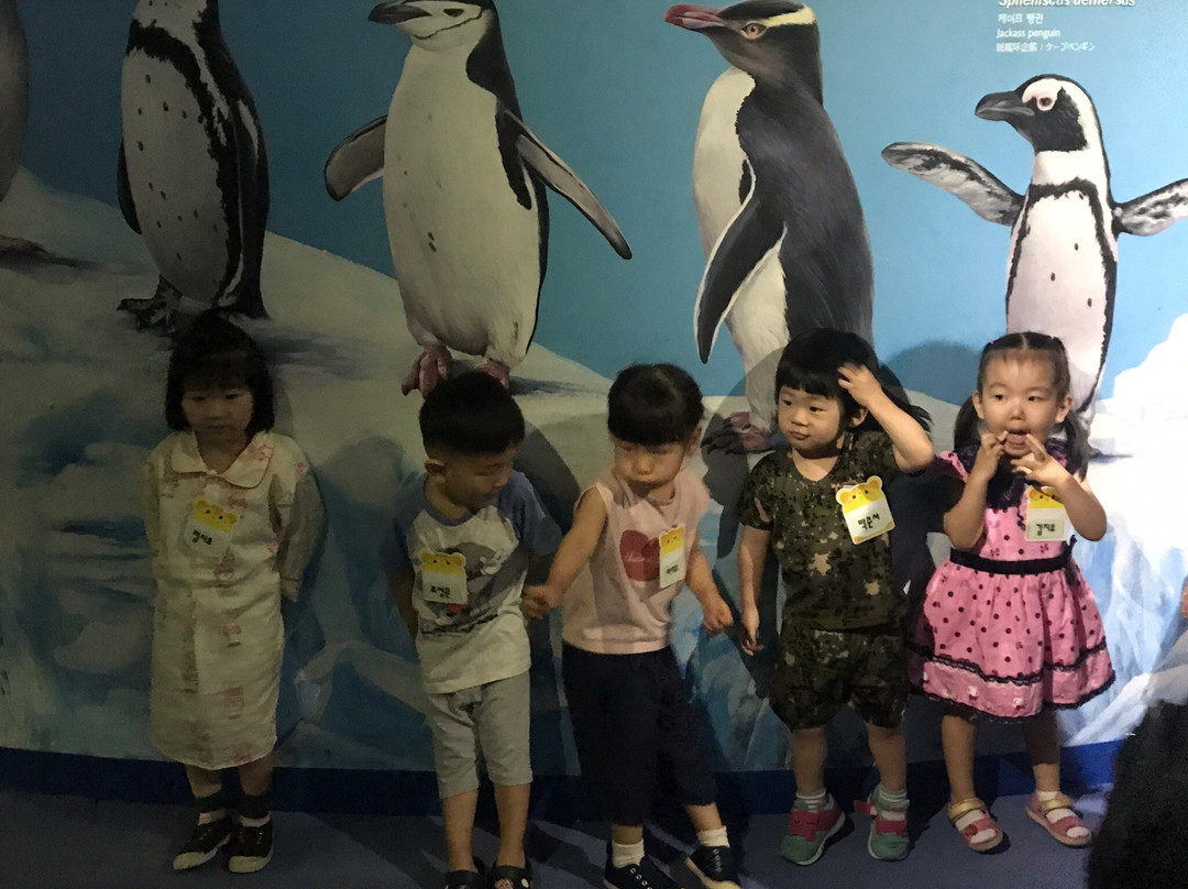 Lotte World Aquarium景点图片