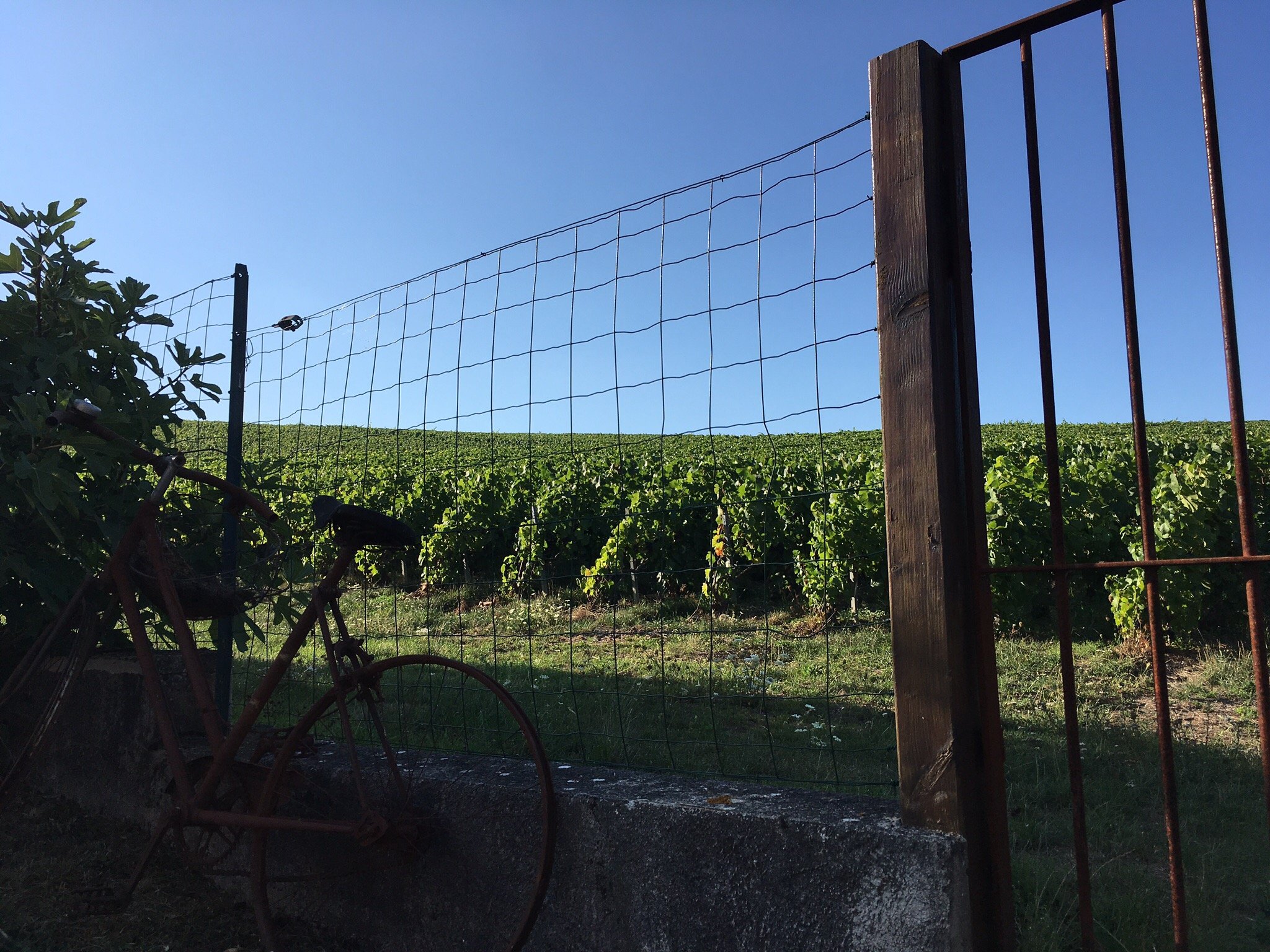 Au Coeur des Vignes-官方