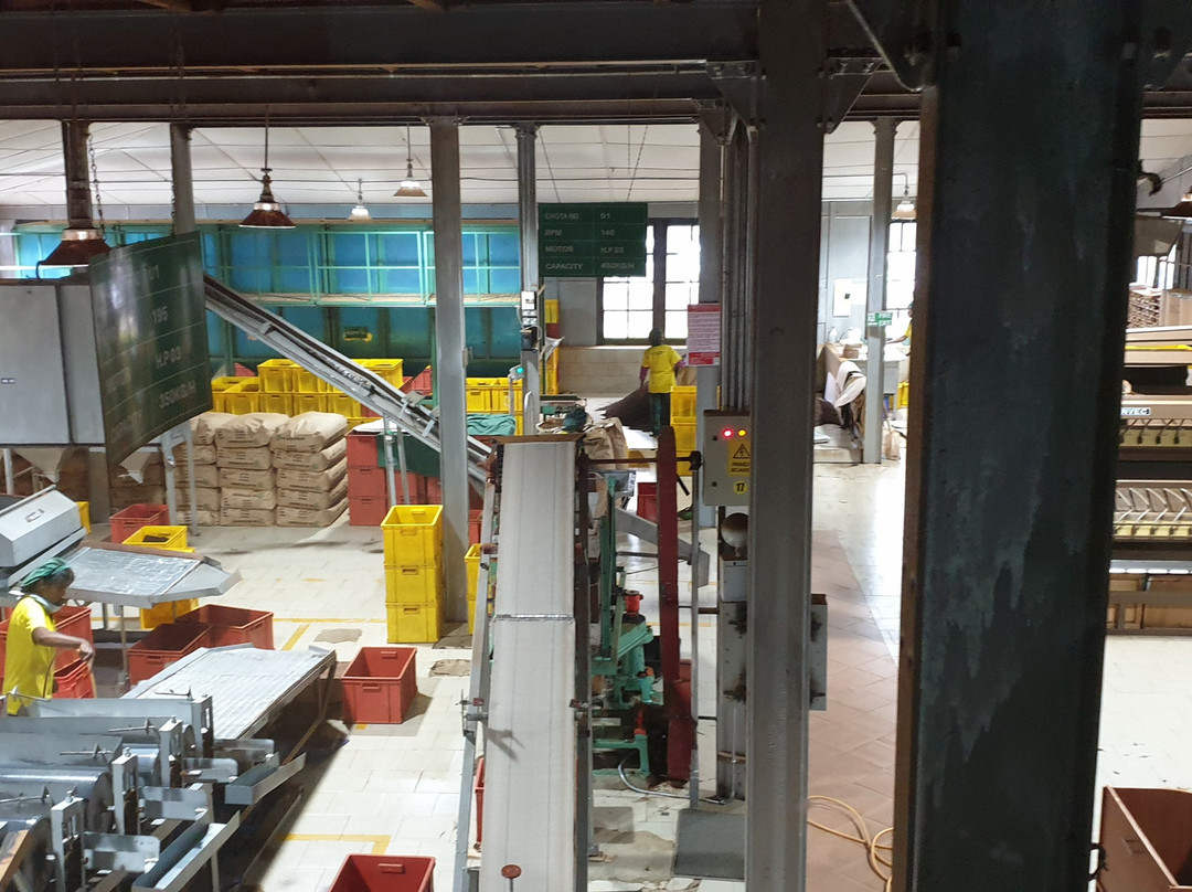 Macwood Tea Factory景点图片