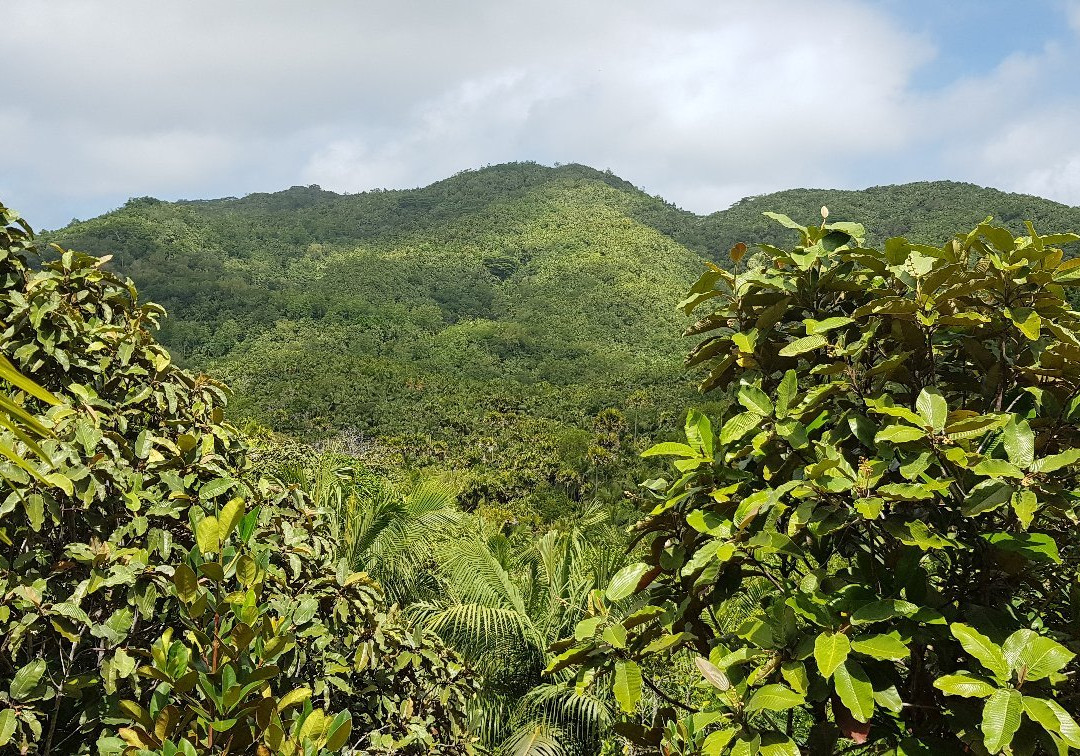 玛依谷地自然保护区景点图片