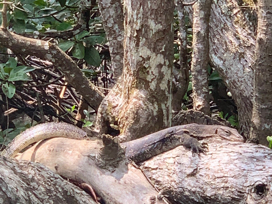 Rest on Langkawi景点图片