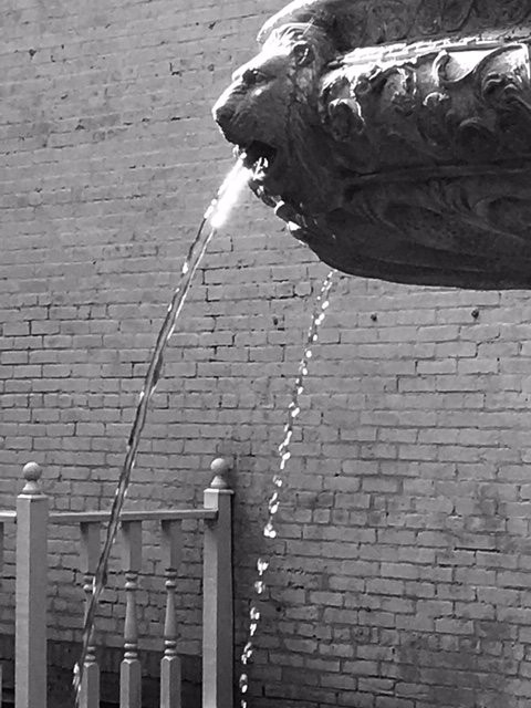 Falcon Manor B & B At Falcon Rest主图