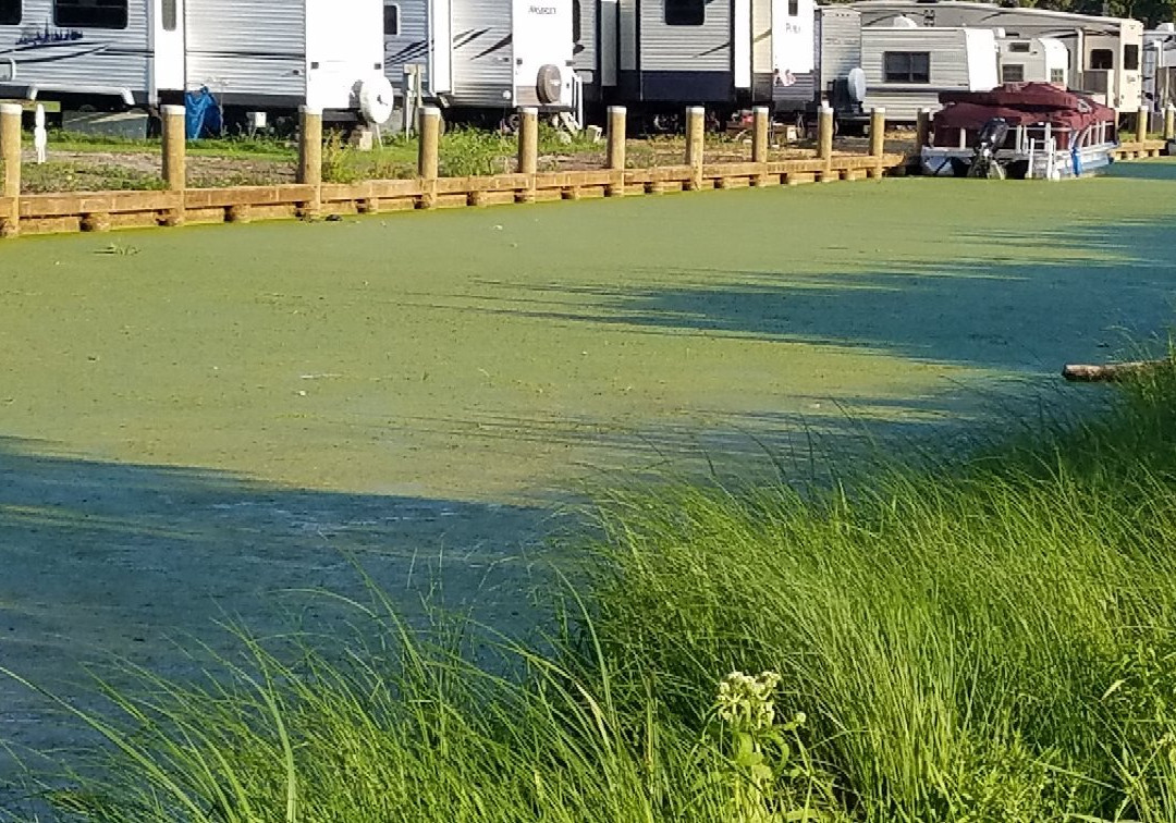 Kalbus' Country Harbor, Inc Campground