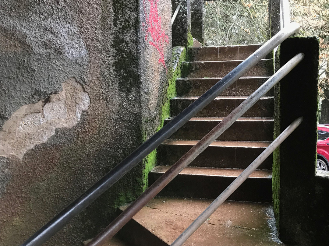 Wombat Hill Pioneer Memorial Tower-戴尔斯福特必去景点