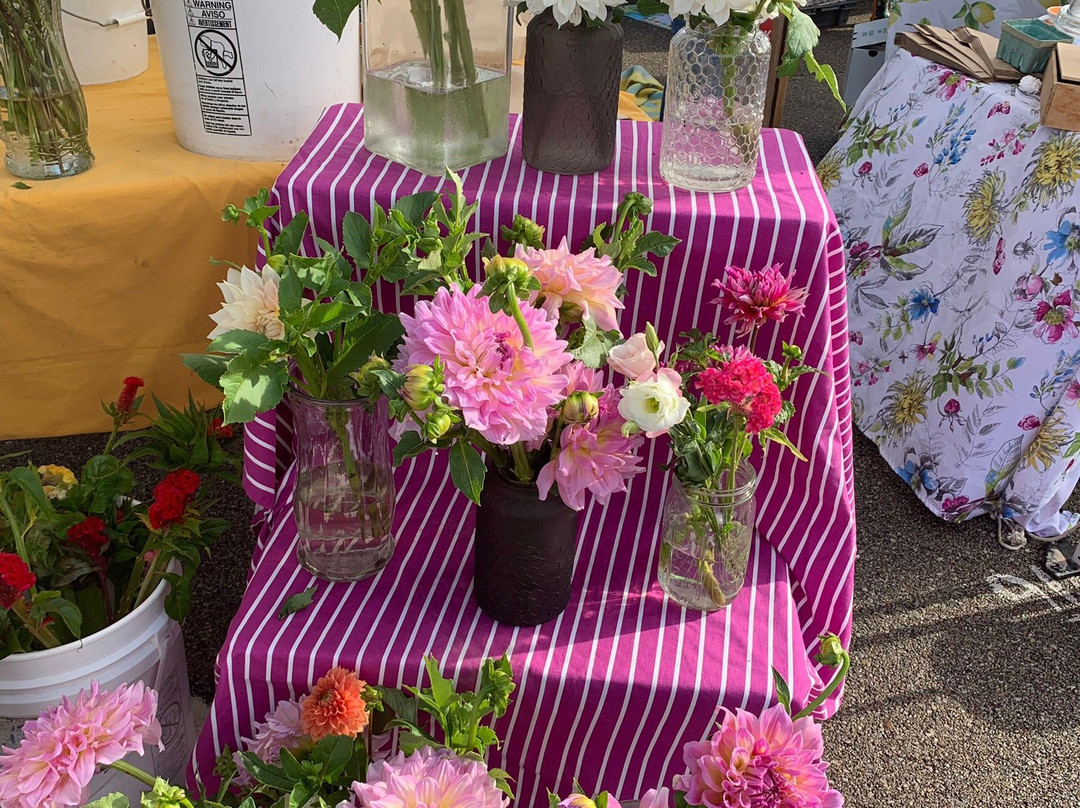 Downtown Farmers Market of Manhattan-曼哈顿必去景点