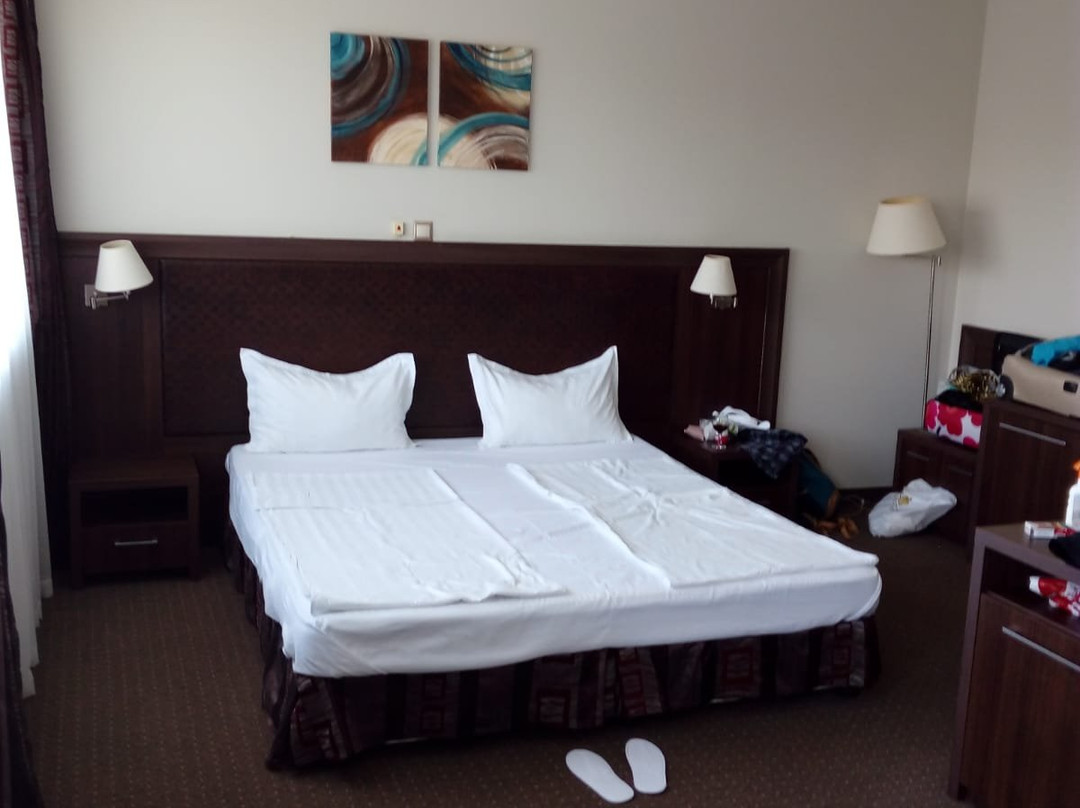 Sana Spa Hotel主图