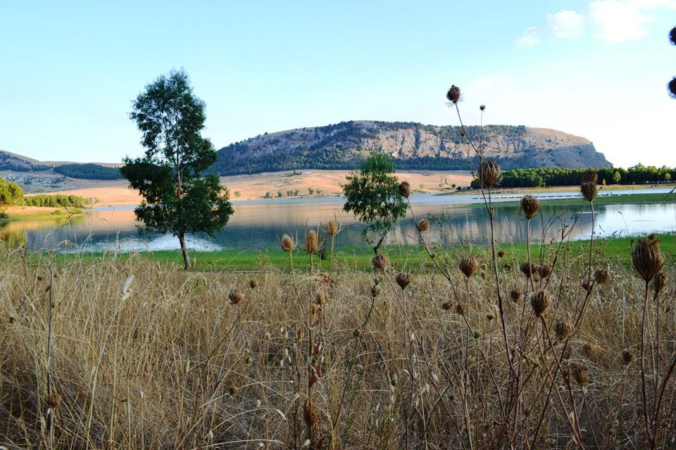 Lago di Piana degli Albanesi景点图片