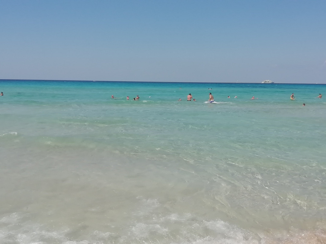 B&B Cinque Stelle Salento主图