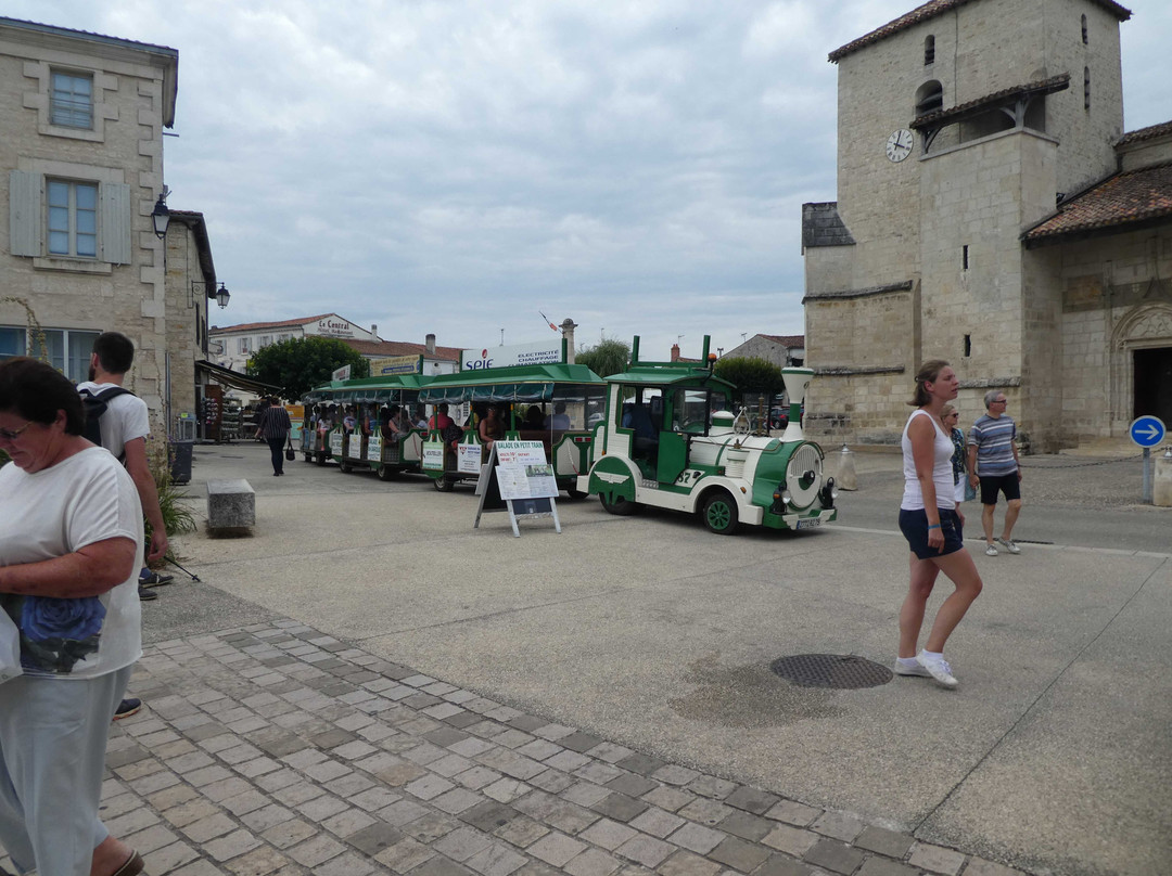 Le Petit Train du Marais Poitevin-Coulon必去景点