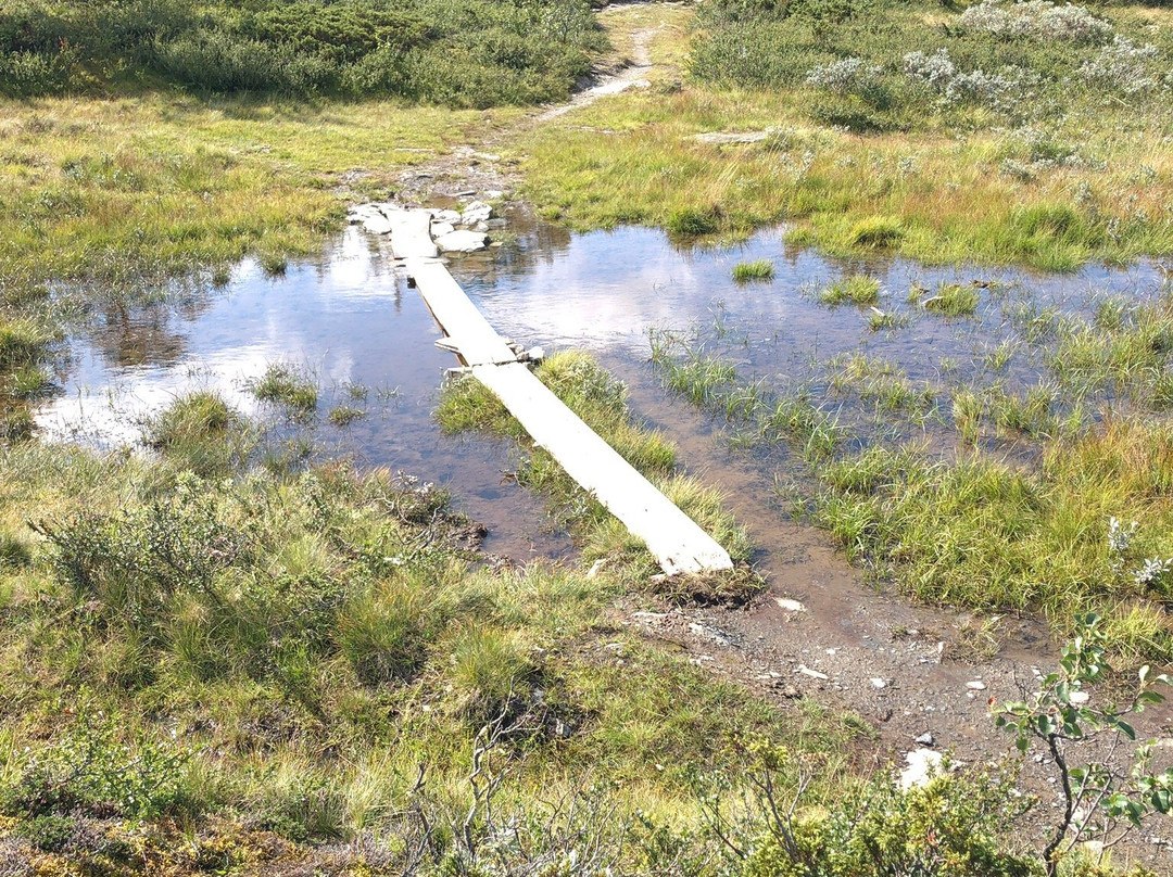 Valsfjellet景点图片