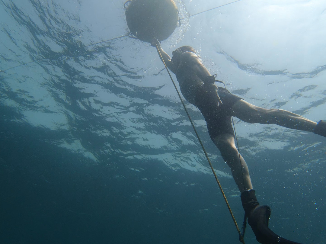 The Freediving Club-迪拜必去景点