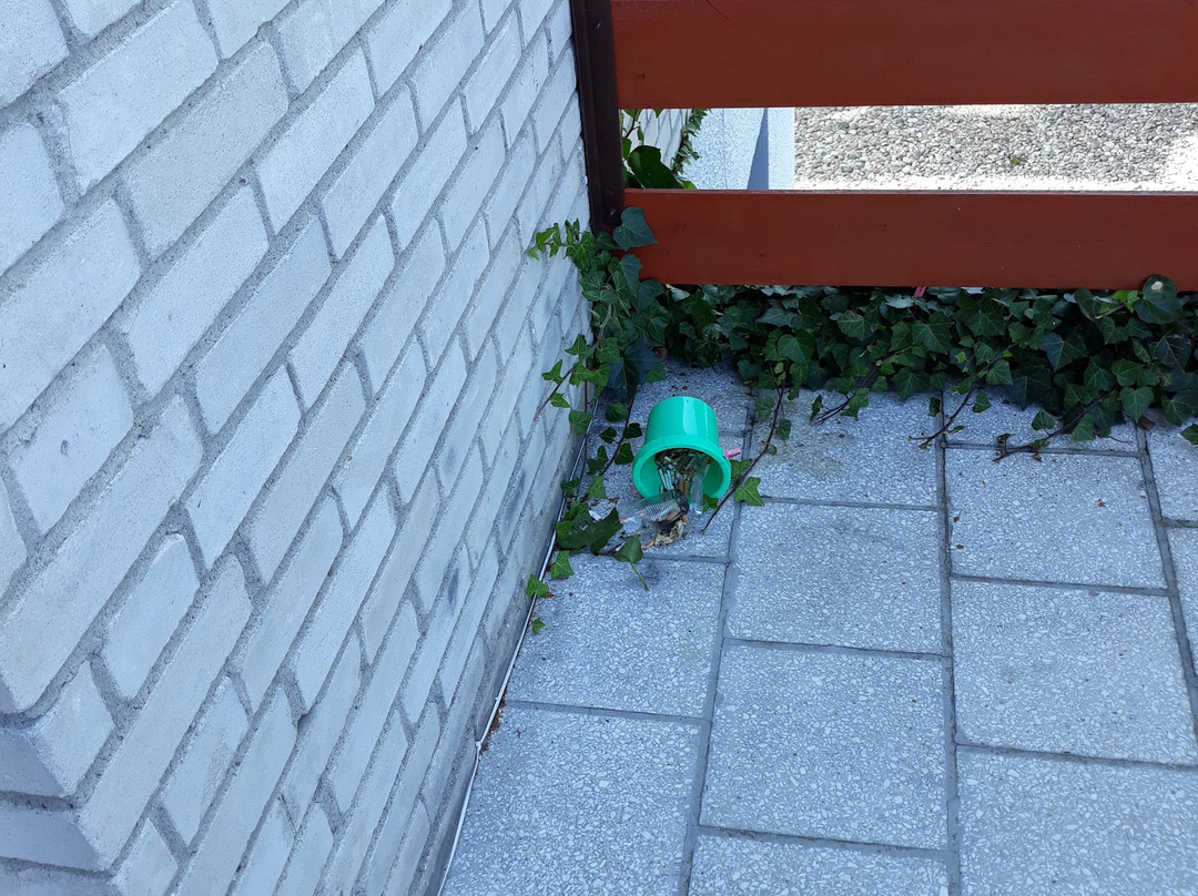 Dom Wczasowy Witaj主图