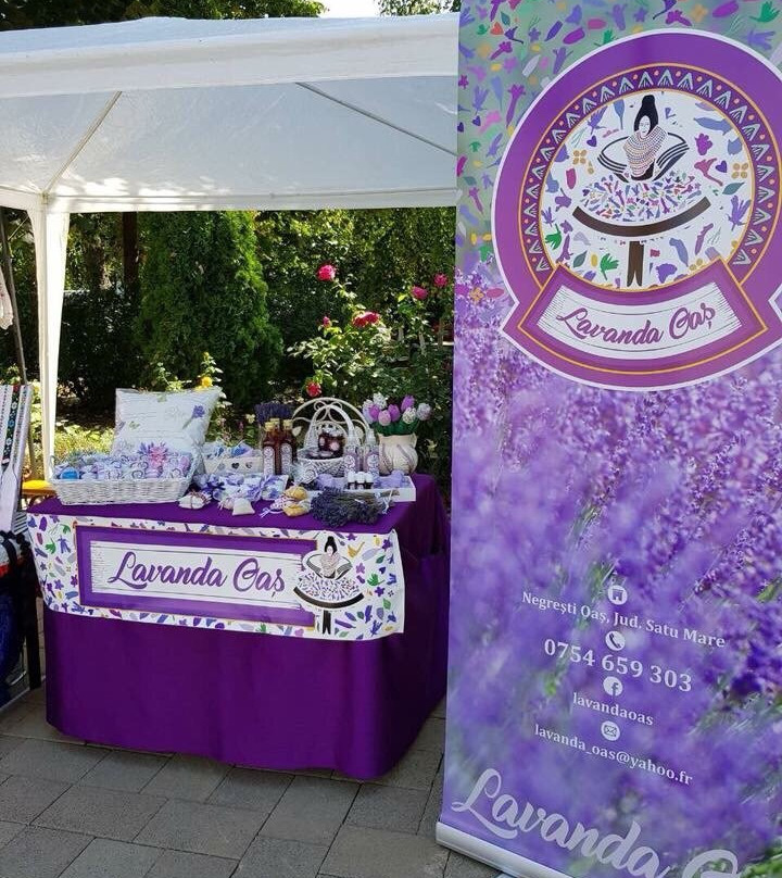 Lavanda Oas-Satu Mare必去景点