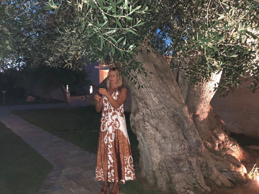 Madonna Pozzo Guacito酒店住宿-Masseria Torre del Diamante