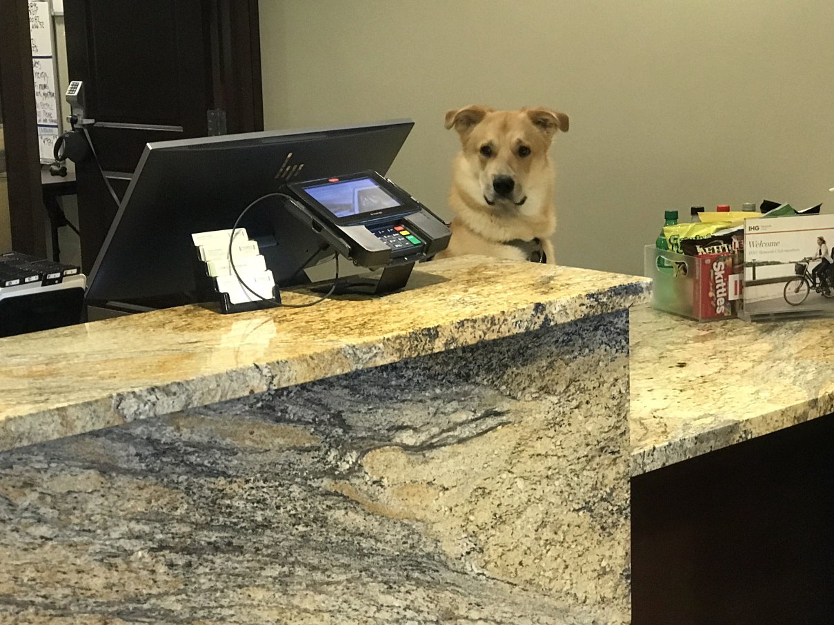 Staybridge Suites Sacramento - Folsom by IHG-浴室