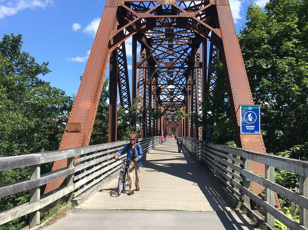 Bill Thorpe Walking Bridge-弗雷德里克顿必去景点