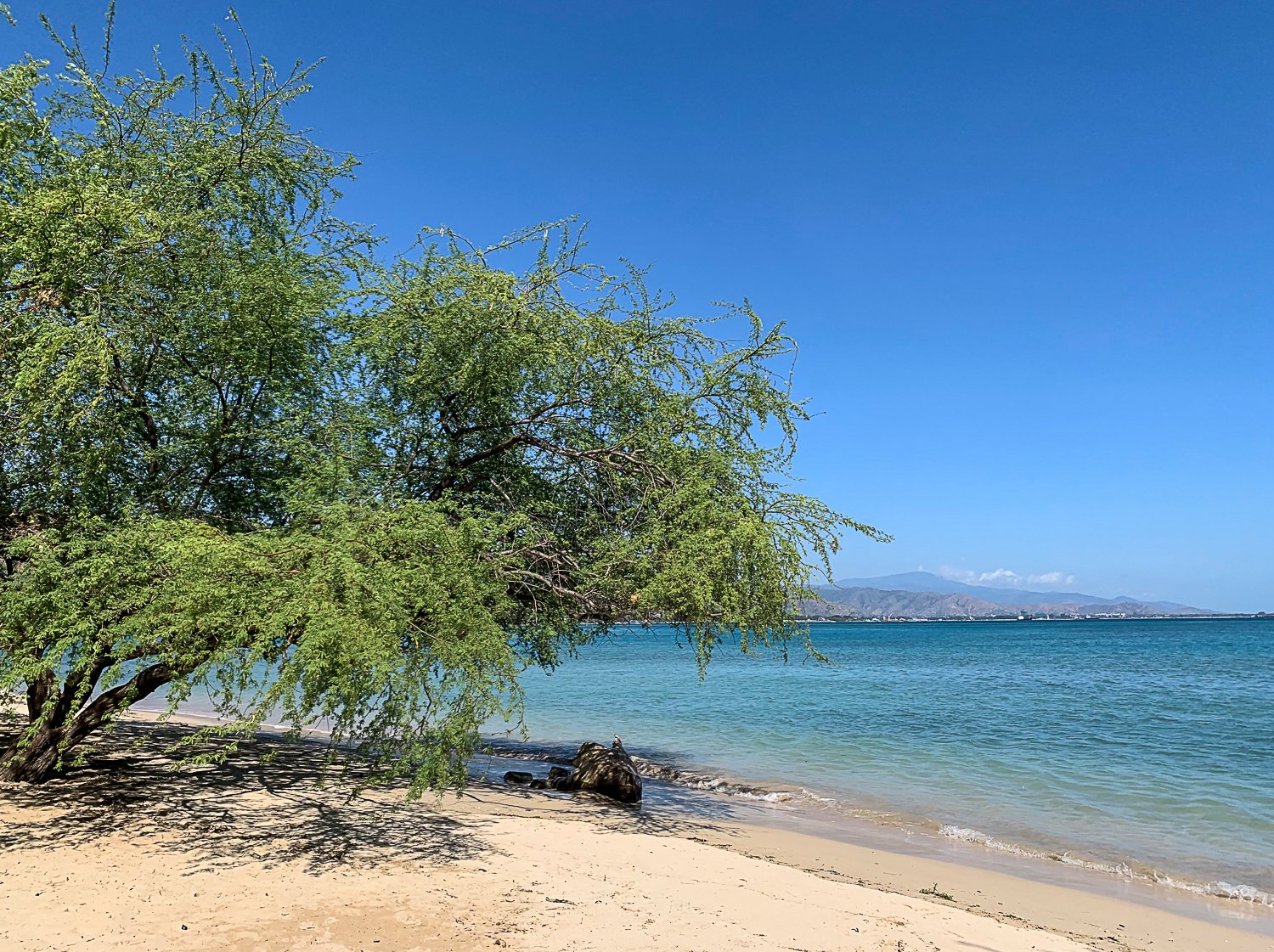Beachside Hotel-泳池