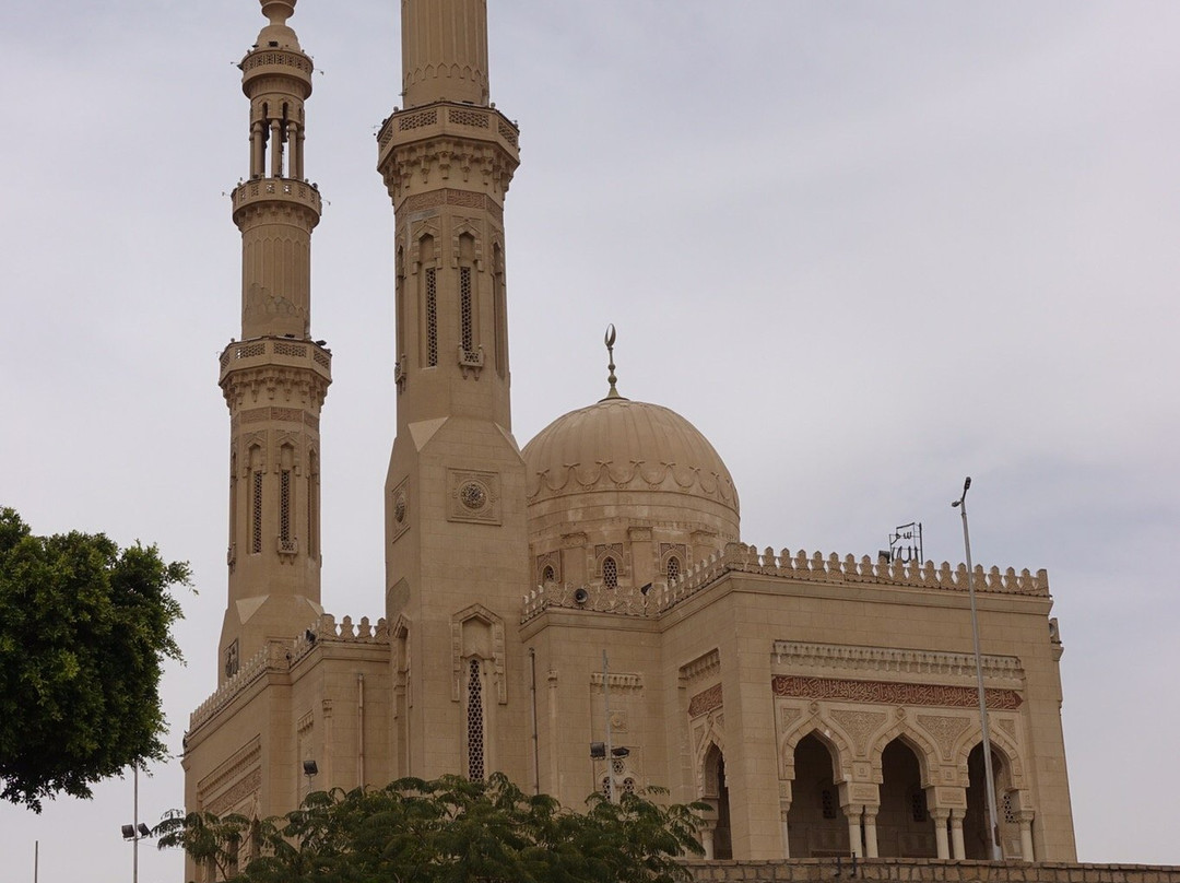 Aswan Market景点图片