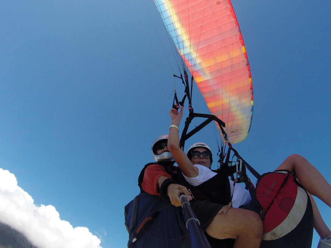 Tandem Paragliding Signal Hill and Lion's Head with views of Table Mountain-开普敦中心区必去景点