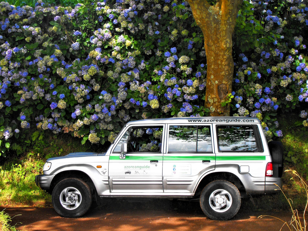 AZOREANGUIDE ® - Sao Miguel Private Tours-蓬塔德尔加达必去景点