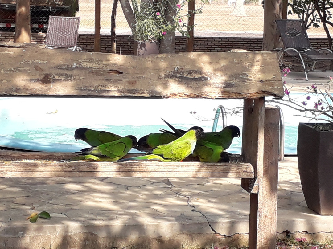 Pousada Rio Claro主图