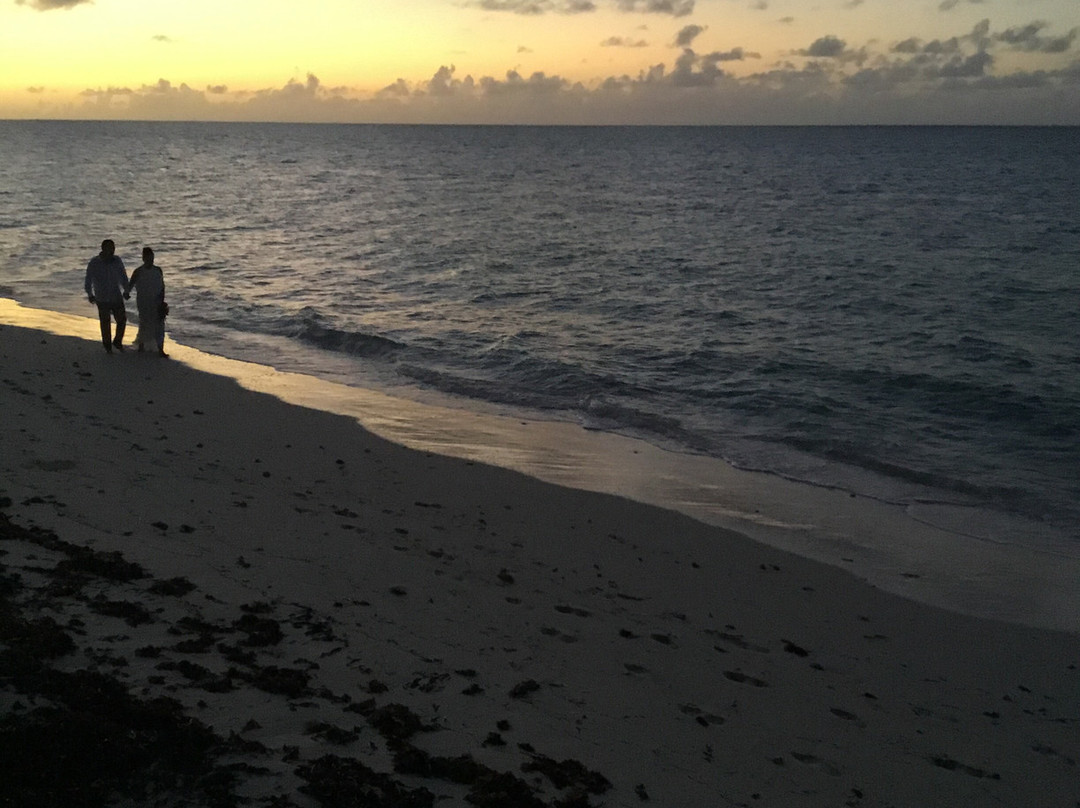 Hollywood Beach Suites Turks and Caicos主图