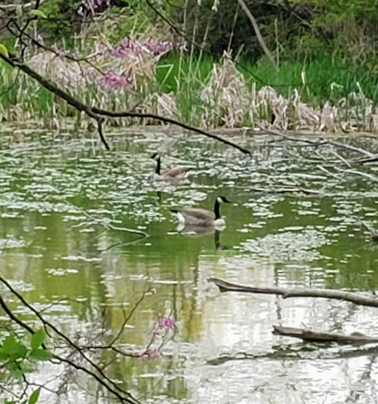 Heron Haven-奥马哈必去景点