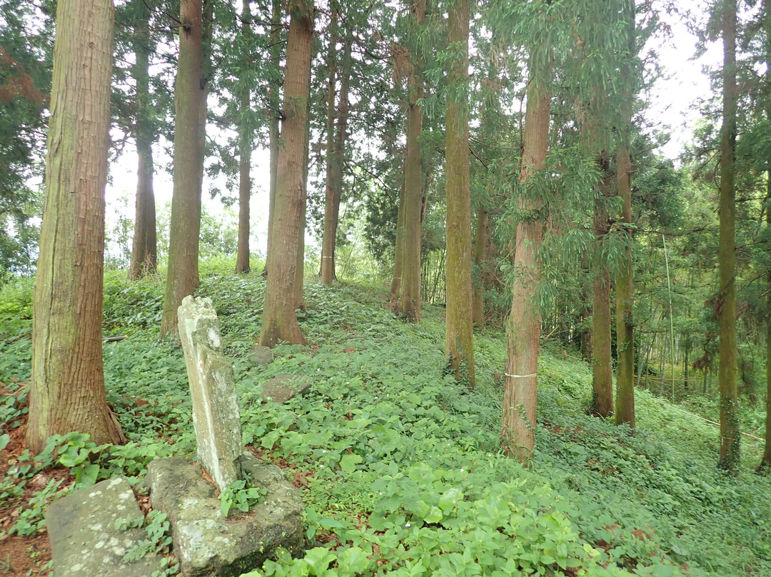 Usuki Shrine景点图片