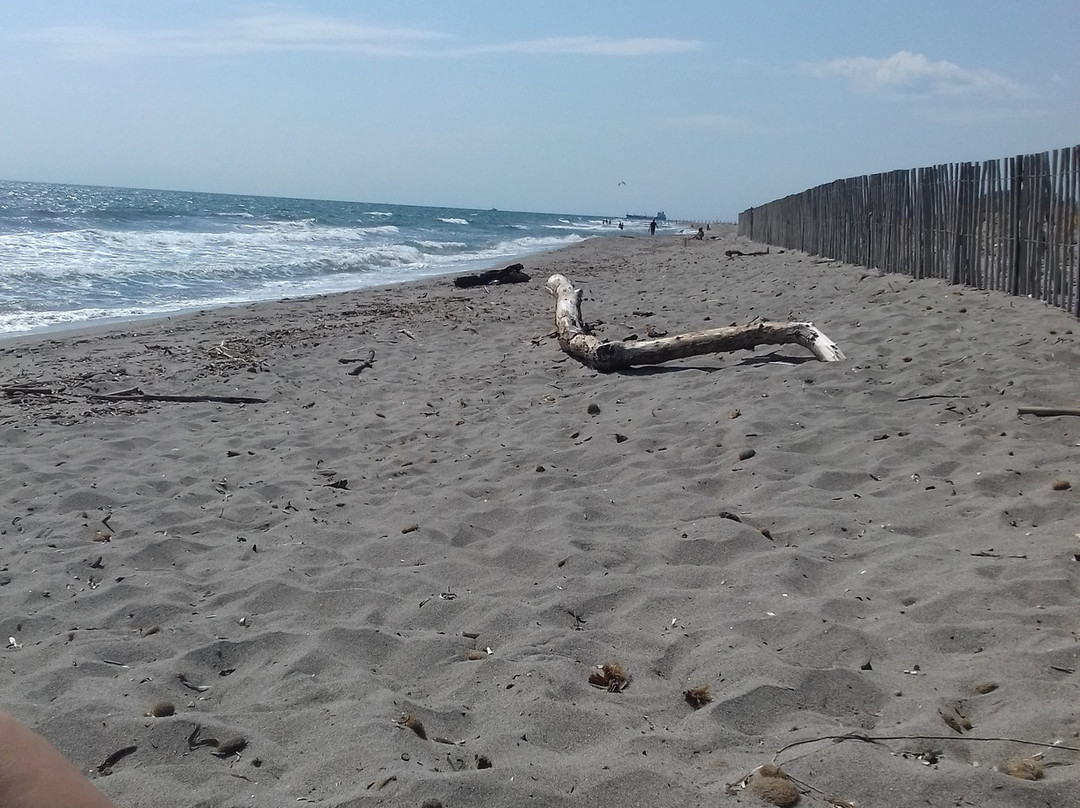 La villa de la marana主图