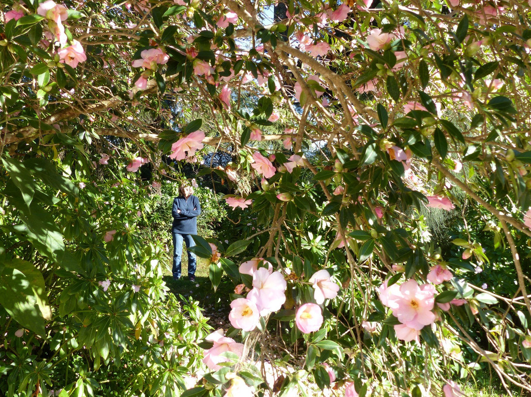 Fernbrook Lodge主图