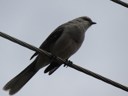 Hostal Chocolate y Miel