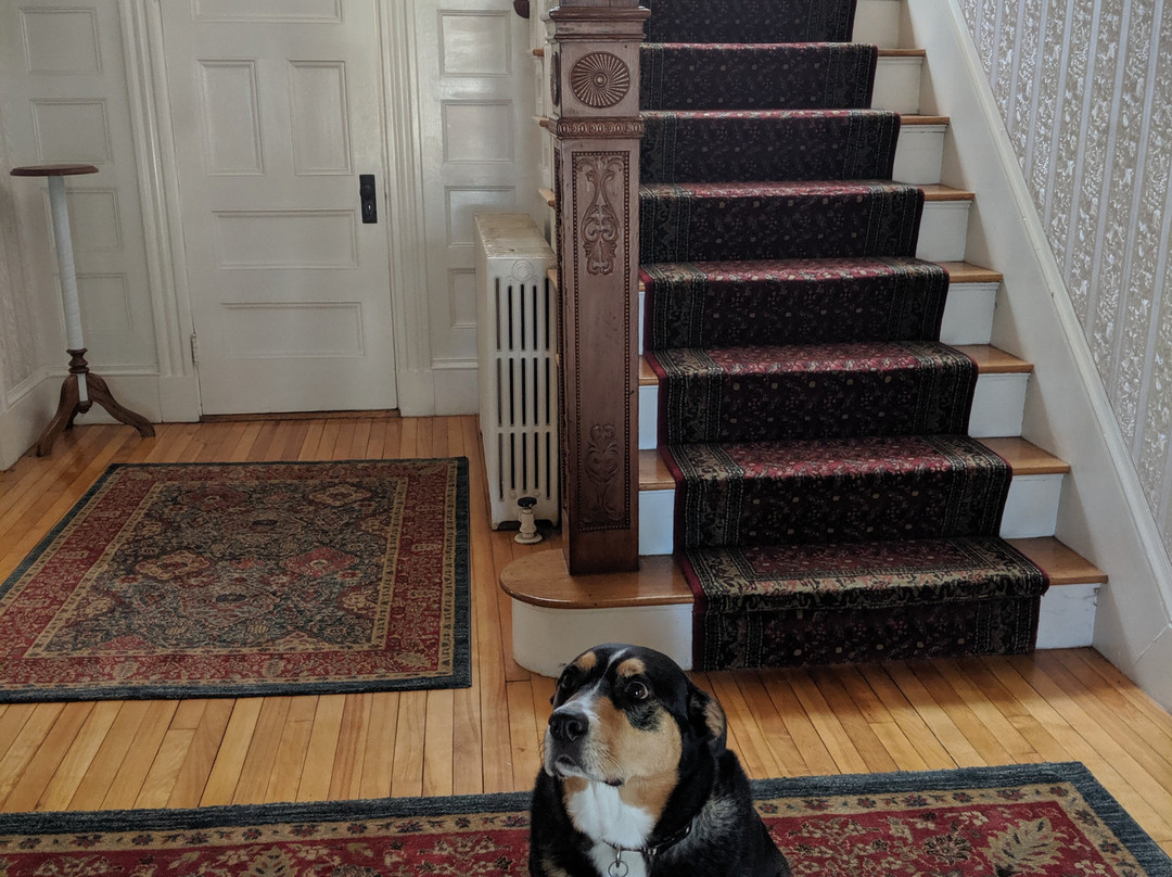 Guilford Bed & Breakfast主图