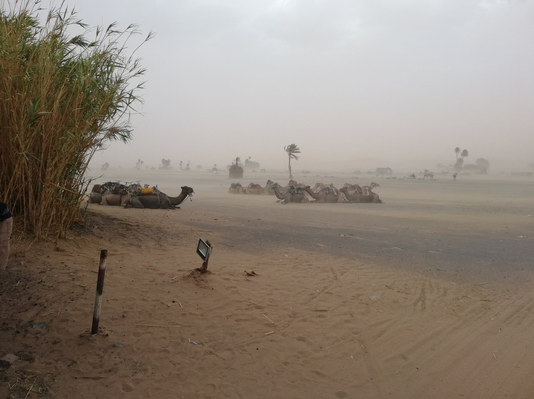 Nasser Palace Hôtel & Bivouacs主图