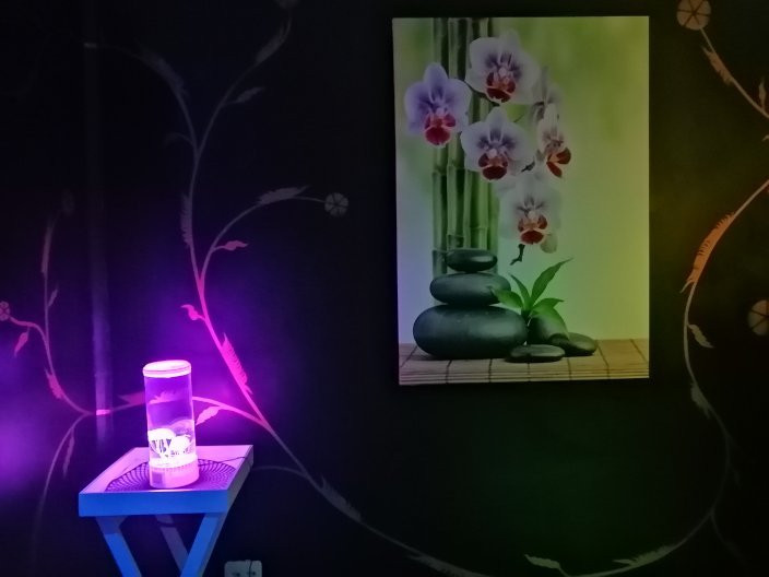 Fusionista Beauty and Spa-兰德堡必去景点