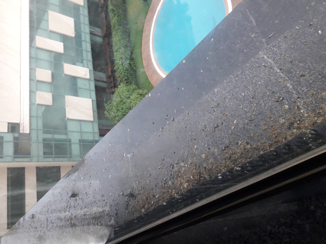 Boulevard 9 Luxury Resort & Spa主图