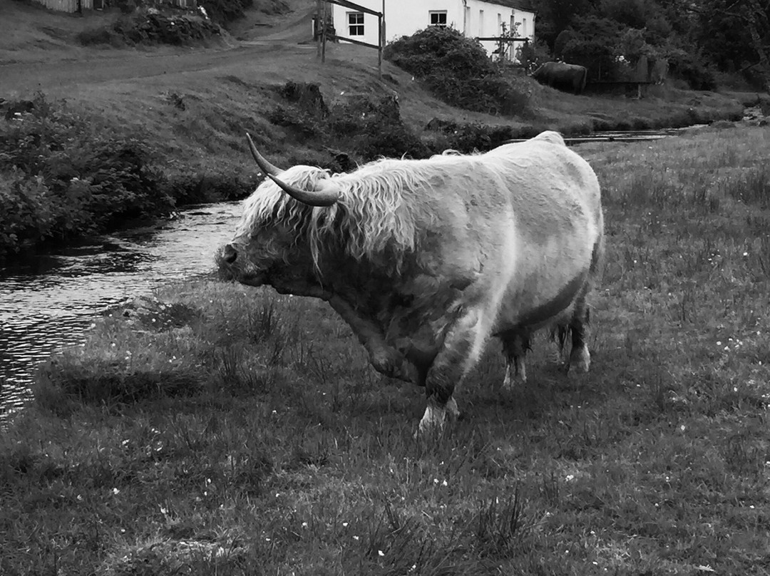 Duirinish and Drumbuie Coastal Walk景点图片