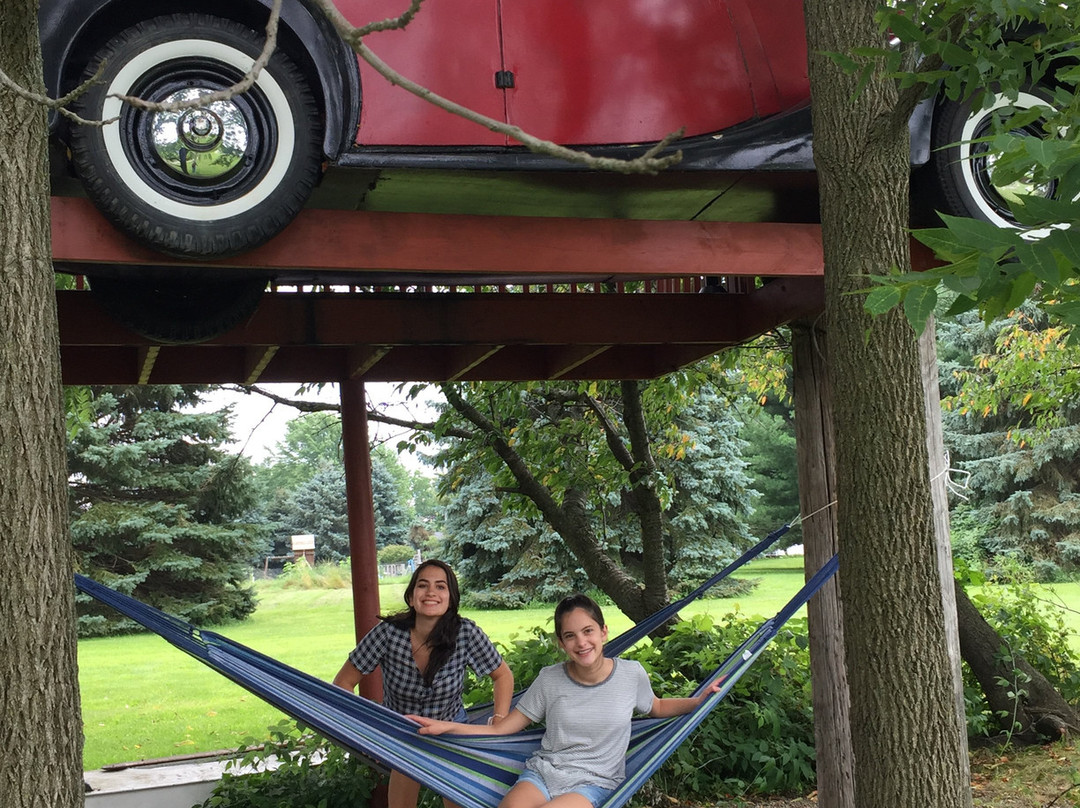 Tree Creations in Geneseo-Geneseo必去景点