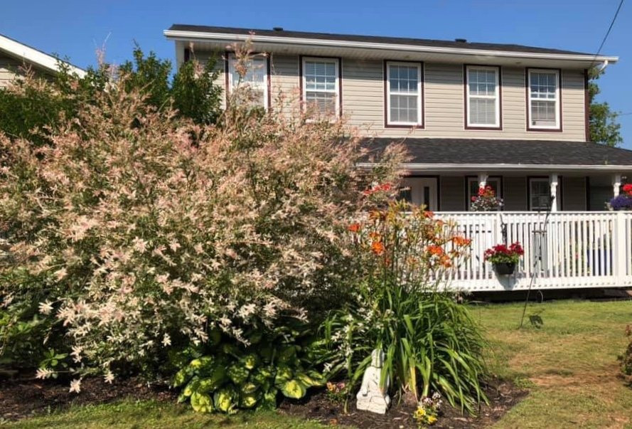 Driftwood Heights B & B主图