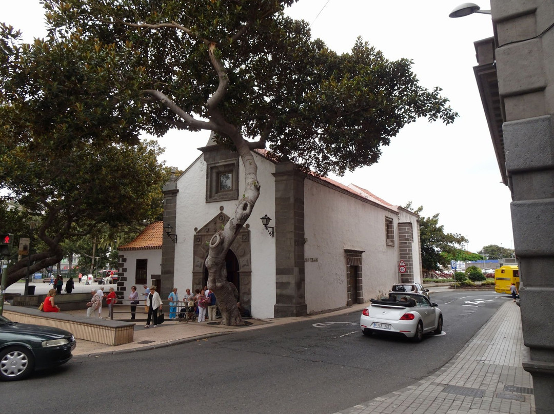 Parque de San Telmo景点图片