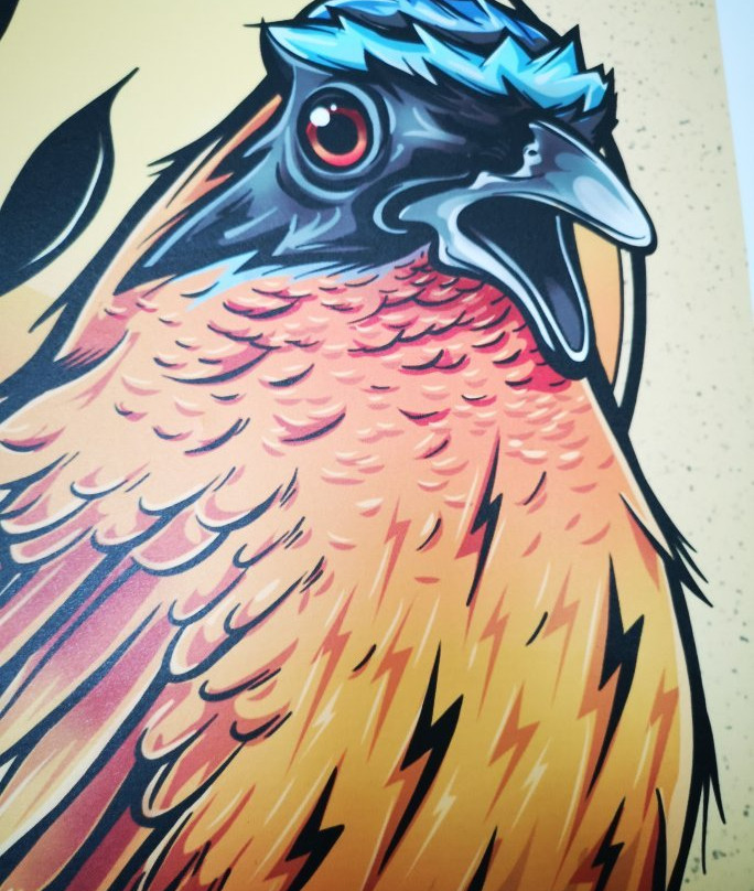 Ruta Turística MIO Cable-卡利必去景点