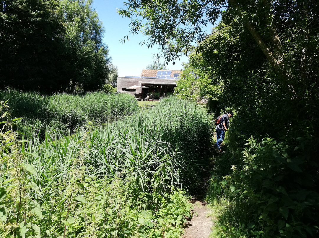 Uitkerkse Polder-布朗肯堡必去景点