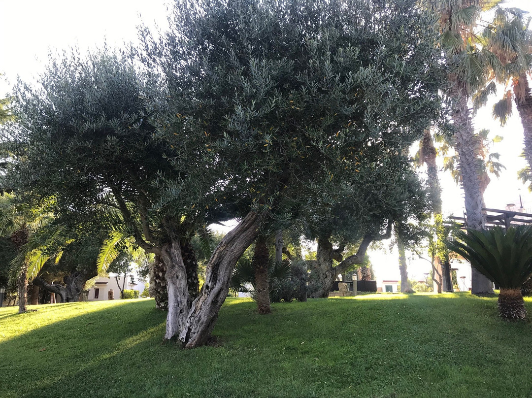 Città Bianca Country Resort主图