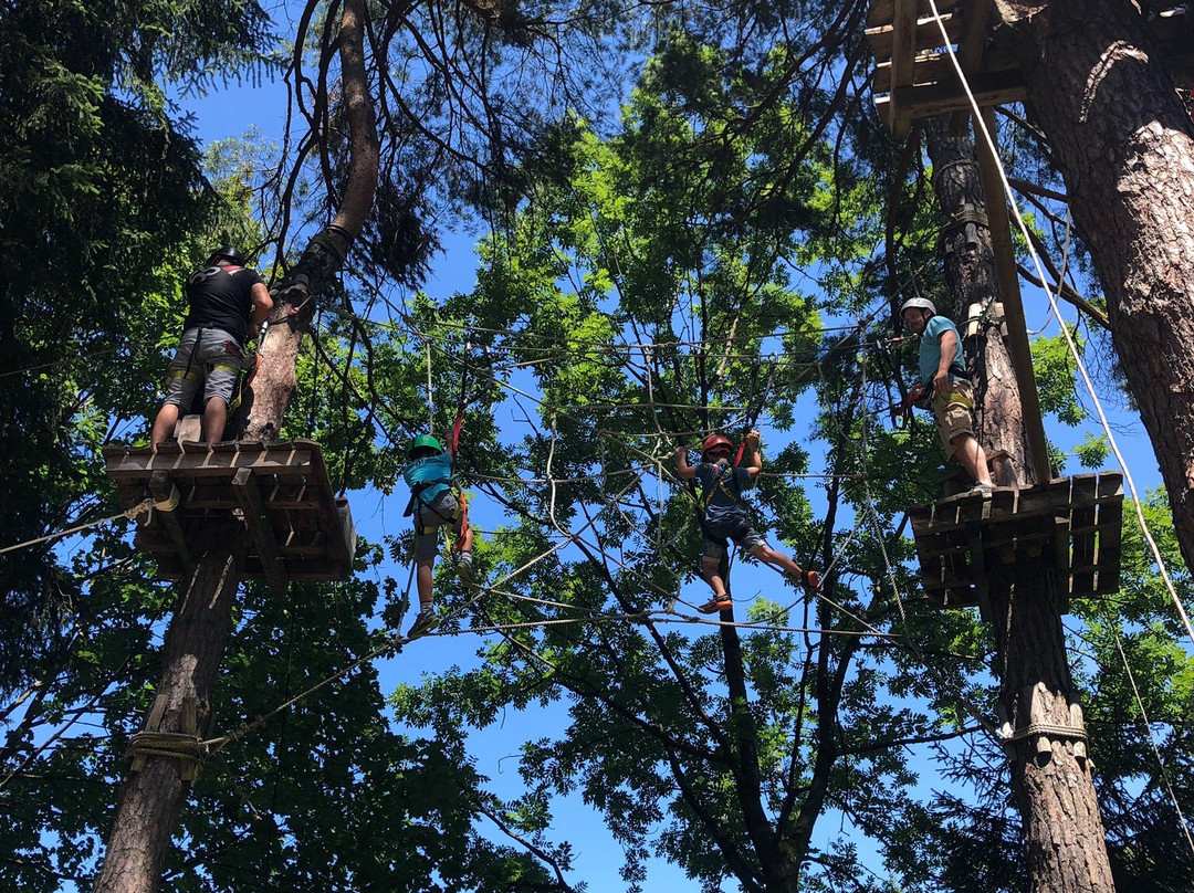 Kletterpark Waldbad Anif景点图片